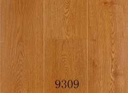 桐城现代经典地板9309