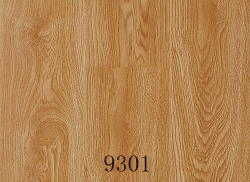 张掖现代经典地板9301